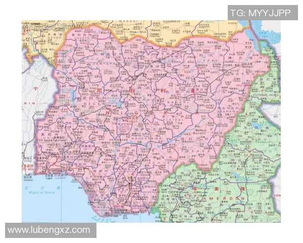 尼日利亚非洲雄鹰面临的人才流失危机与应对策略探讨